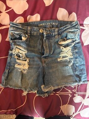 American Eagle Outfitters Light Blue Distressed Jean Shorts